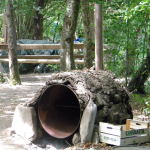 DSCN6759