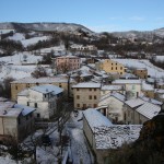 IMG_5405