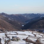 IMG_5452