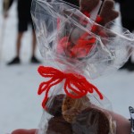 IMG_2267